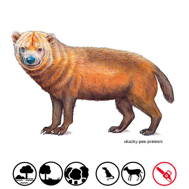 Perrito de monte